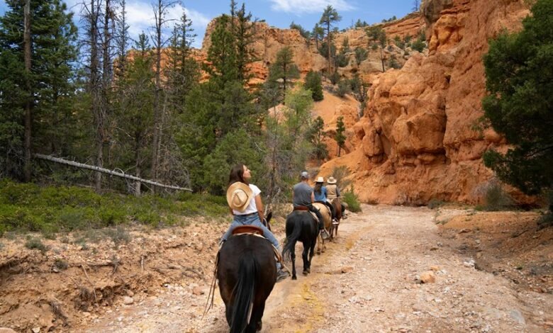 canyongross online marketplace guide